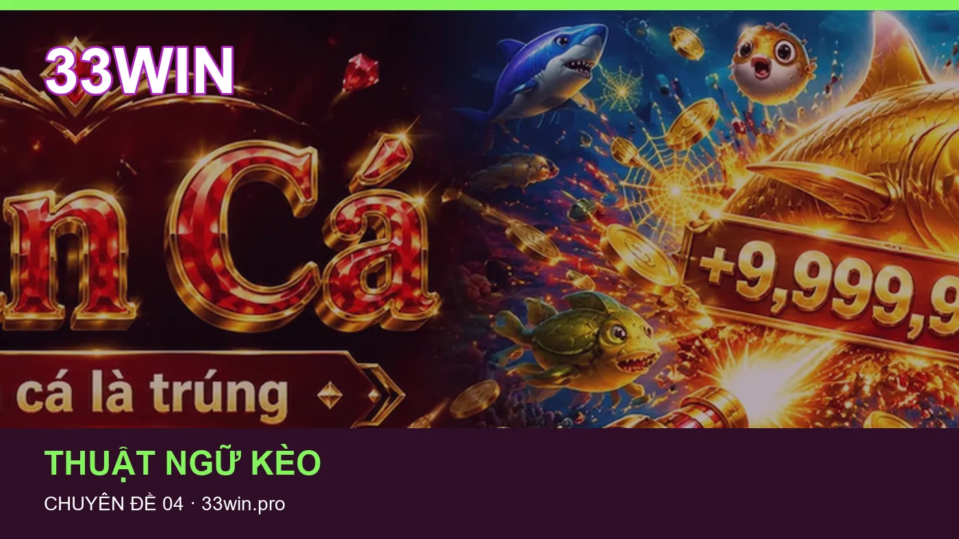 Hỏi đáp về Lịch thi đấu: quy trình tự kiểm tra trên 33WIN
